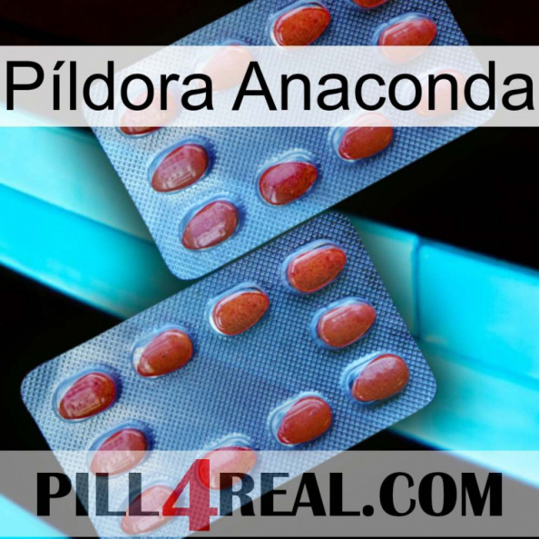 Píldora Anaconda 05.jpg